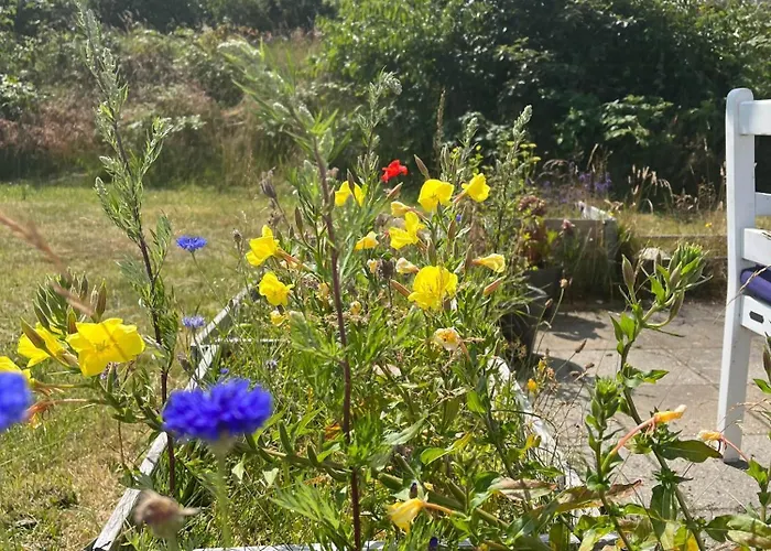 Charming Tiny House In Sonderho Fanø